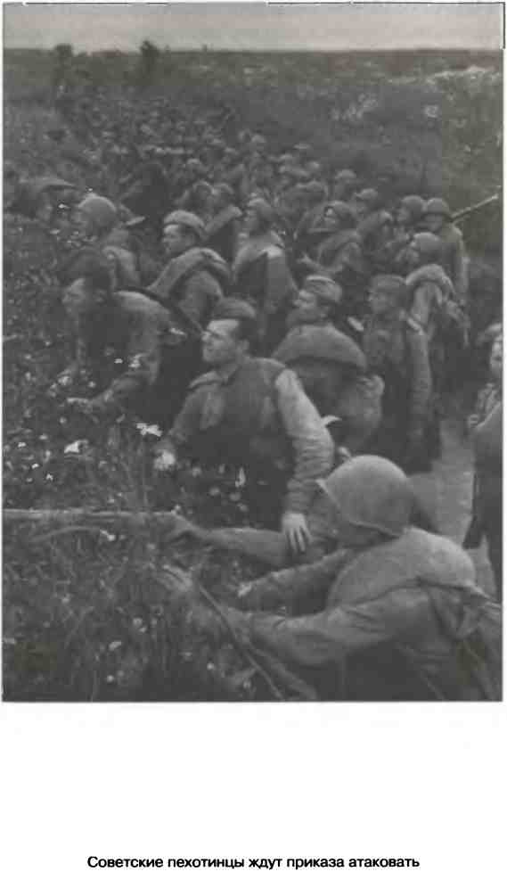 Освобождение 1943. «От Курска и Орла война нас довела…» Освобождение 1943. «От Курска и Орла война нас довела…»