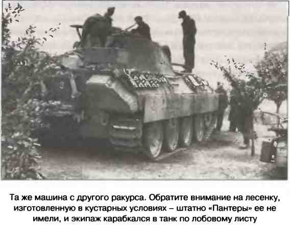 Освобождение 1943. «От Курска и Орла война нас довела…» Освобождение 1943. «От Курска и Орла война нас довела…»