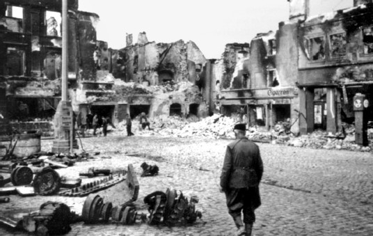 Разгром 1945. Битва за Германию Разгром 1945. Битва за Германию