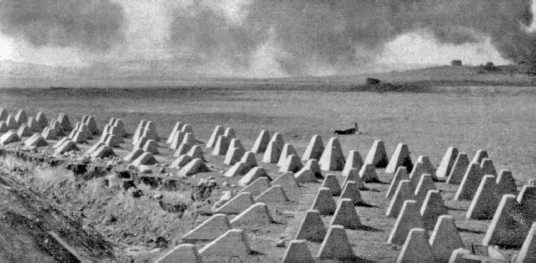 Разгром 1945. Битва за Германию Разгром 1945. Битва за Германию