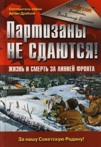 Партизаны не сдаются! Жизнь и смерть за линией фронта - Владимир Ильин