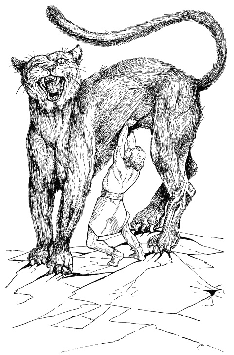 Легенды Севера