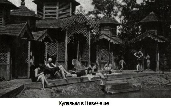 Заяц с янтарными глазами Заяц с янтарными глазами