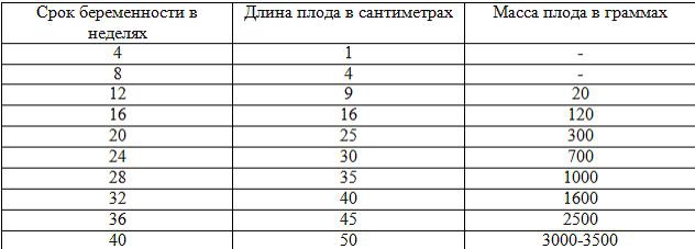 Советы залетевшим Советы залетевшим