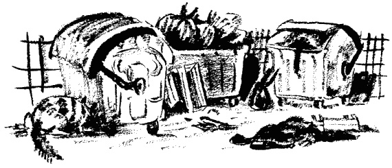 Дела и ужасы Жени Осинкиной. Книга 2. Портрет неизвестной в белом Дела и ужасы Жени Осинкиной. Книга 2. Портрет неизвестной в белом