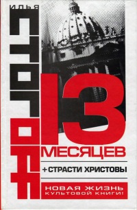 13 месяцев - Илья Стогов