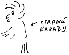 Кот Кот