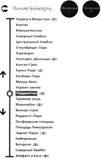 Загадочное ночное убийство собаки