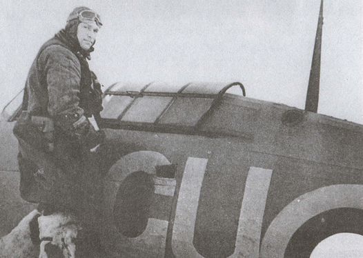 Асы над тундрой. Воздушная война в Заполярье. 1941-1944 годы Асы над тундрой. Воздушная война в Заполярье. 1941-1944 годы