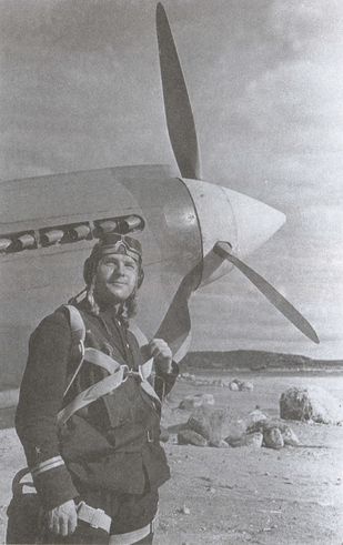 Асы над тундрой. Воздушная война в Заполярье. 1941-1944 годы Асы над тундрой. Воздушная война в Заполярье. 1941-1944 годы