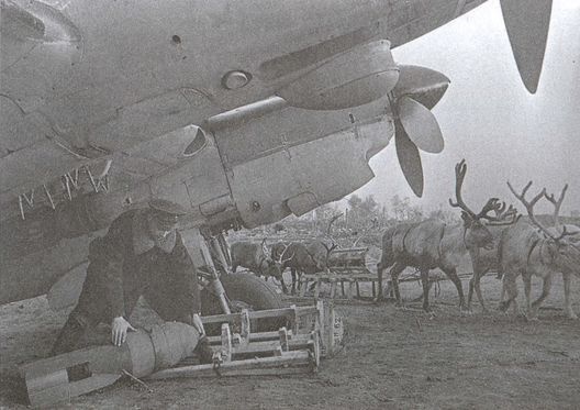 Асы над тундрой. Воздушная война в Заполярье. 1941-1944 годы Асы над тундрой. Воздушная война в Заполярье. 1941-1944 годы
