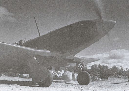 Асы над тундрой. Воздушная война в Заполярье. 1941-1944 годы Асы над тундрой. Воздушная война в Заполярье. 1941-1944 годы