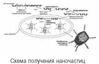 Когда власть не от Бога Когда власть не от Бога