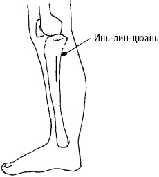 Большой атлас целительных точек. Китайская медицина на страже здоровья и долголетия Большой атлас целительных точек. Китайская медицина на страже здоровья и долголетия