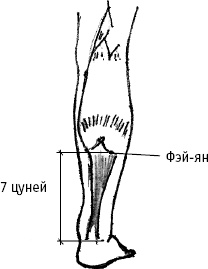Большой атлас целительных точек. Китайская медицина на страже здоровья и долголетия Большой атлас целительных точек. Китайская медицина на страже здоровья и долголетия