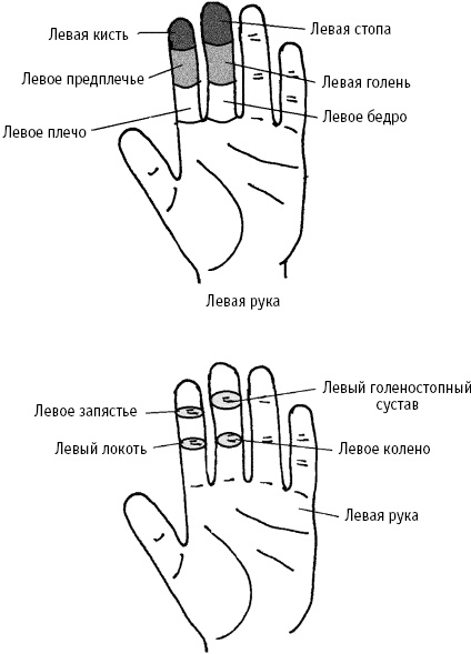 Большой атлас целительных точек. Китайская медицина на страже здоровья и долголетия Большой атлас целительных точек. Китайская медицина на страже здоровья и долголетия