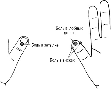 Большой атлас целительных точек. Китайская медицина на страже здоровья и долголетия Большой атлас целительных точек. Китайская медицина на страже здоровья и долголетия