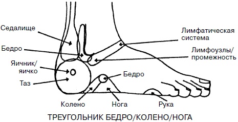 Целительные точки нашего тела. Практический атлас Целительные точки нашего тела. Практический атлас