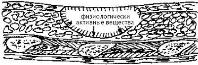 Китайский императорский массаж. Лечение 100 болезней с помощью банок. Большой атлас зон исцеления Китайский императорский массаж. Лечение 100 болезней с помощью банок. Большой атлас зон исцеления