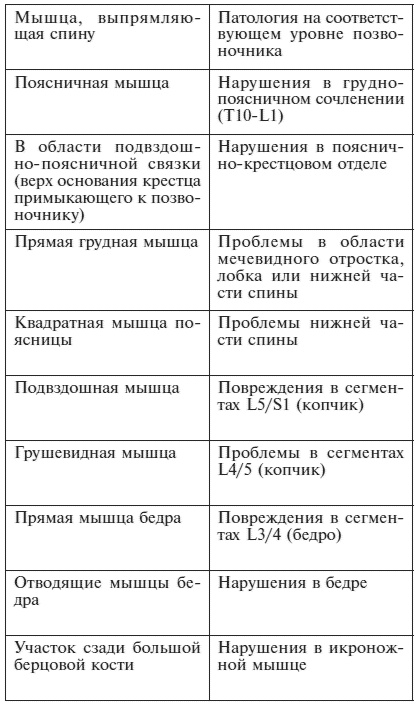 Ипликатор Кузнецова. Избавление от боли в спине и шее Ипликатор Кузнецова. Избавление от боли в спине и шее
