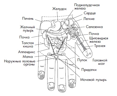 Шунгит, су-джок, вода - для здоровья тех, кому за... Шунгит, су-джок, вода - для здоровья тех, кому за...