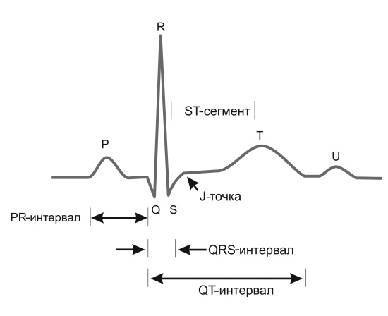 Медицинские исследования. Полный справочник Медицинские исследования. Полный справочник