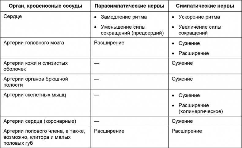 Здоровый мужчина в вашем доме Здоровый мужчина в вашем доме