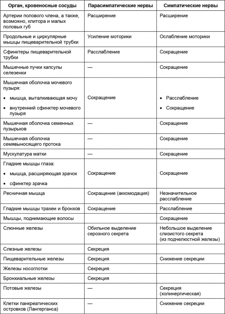 Здоровый мужчина в вашем доме Здоровый мужчина в вашем доме