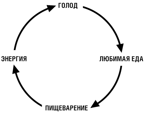 Начни худеть сейчас. Легкий способ сбросить вес - теперь еще легче и еще эффективнее (+ СD)