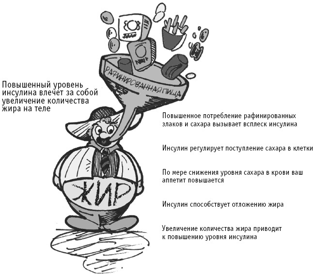 Питание как основа здоровья. Самый простой и естественный способ за 6 недель восстановить силы организма и сбросить лишний вес Питание как основа здоровья. Самый простой и естественный способ за 6 недель восстановить силы организма и сбросить лишний вес