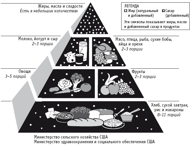 Питание как основа здоровья. Самый простой и естественный способ за 6 недель восстановить силы организма и сбросить лишний вес Питание как основа здоровья. Самый простой и естественный способ за 6 недель восстановить силы организма и сбросить лишний вес