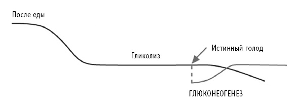Питание как основа здоровья. Самый простой и естественный способ за 6 недель восстановить силы организма и сбросить лишний вес Питание как основа здоровья. Самый простой и естественный способ за 6 недель восстановить силы организма и сбросить лишний вес