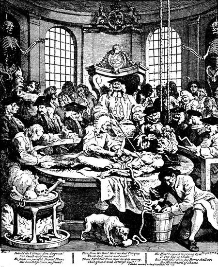 От знахаря до врача. История науки врачевания От знахаря до врача. История науки врачевания