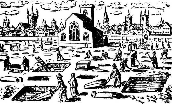 От знахаря до врача. История науки врачевания От знахаря до врача. История науки врачевания