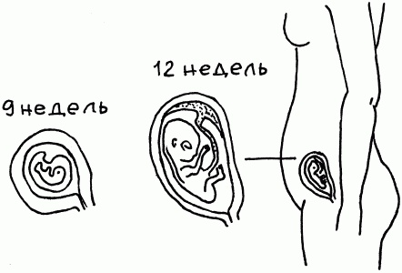 1001 вопрос будущей мамы. Большая книга ответов на все вопросы 1001 вопрос будущей мамы. Большая книга ответов на все вопросы