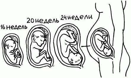 1001 вопрос будущей мамы. Большая книга ответов на все вопросы 1001 вопрос будущей мамы. Большая книга ответов на все вопросы