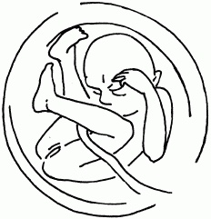 1001 вопрос будущей мамы. Большая книга ответов на все вопросы 1001 вопрос будущей мамы. Большая книга ответов на все вопросы