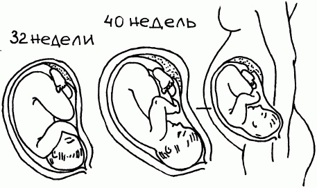 1001 вопрос будущей мамы. Большая книга ответов на все вопросы 1001 вопрос будущей мамы. Большая книга ответов на все вопросы