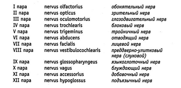 Медики шутят, пока молчит сирена Медики шутят, пока молчит сирена