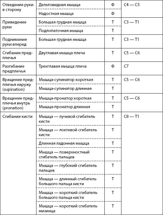 Скульптурная гимнастика для мышц, суставов и внутренних органов Скульптурная гимнастика для мышц, суставов и внутренних органов