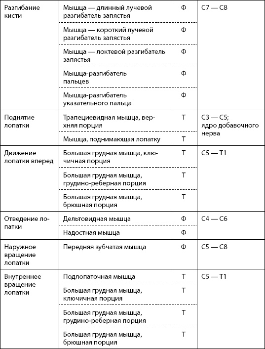 Скульптурная гимнастика для мышц, суставов и внутренних органов Скульптурная гимнастика для мышц, суставов и внутренних органов