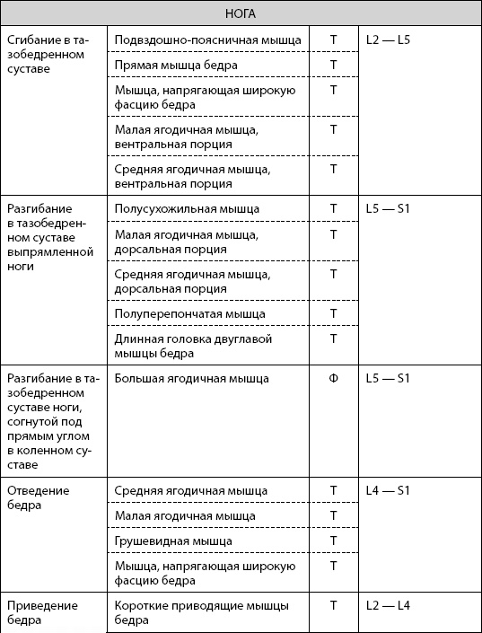 Скульптурная гимнастика для мышц, суставов и внутренних органов Скульптурная гимнастика для мышц, суставов и внутренних органов
