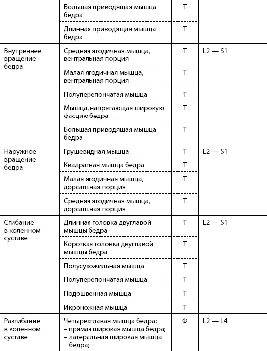 Скульптурная гимнастика для мышц, суставов и внутренних органов Скульптурная гимнастика для мышц, суставов и внутренних органов