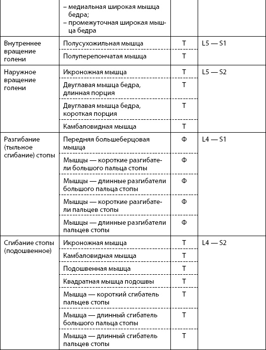 Скульптурная гимнастика для мышц, суставов и внутренних органов Скульптурная гимнастика для мышц, суставов и внутренних органов