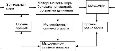 Человек в экстремальной ситуации Человек в экстремальной ситуации