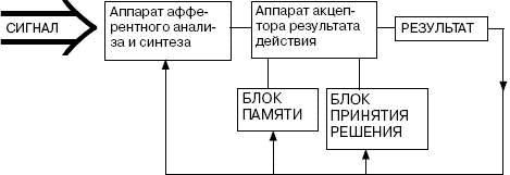 Человек в экстремальной ситуации Человек в экстремальной ситуации