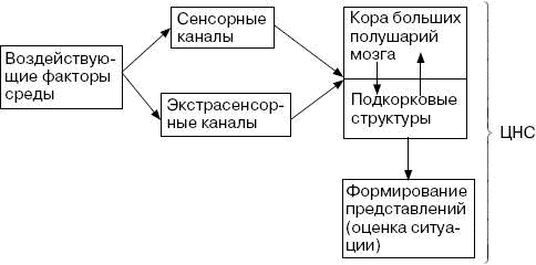 Человек в экстремальной ситуации Человек в экстремальной ситуации