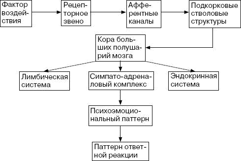 Человек в экстремальной ситуации Человек в экстремальной ситуации