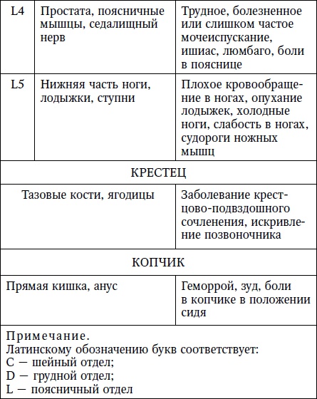 Жизнь без боли в шее Жизнь без боли в шее