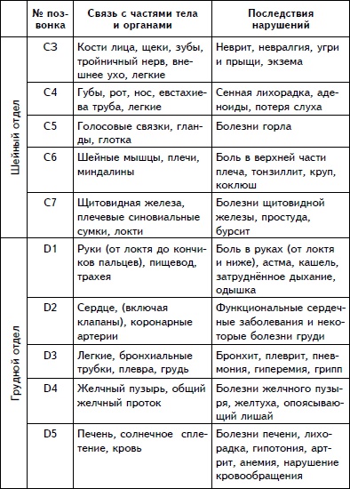 Упражнения для позвоночника. Для тех, кто в пути Упражнения для позвоночника. Для тех, кто в пути